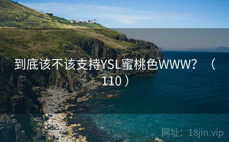 到底该不该支持YSL蜜桃色WWW？（110 ）  第2张