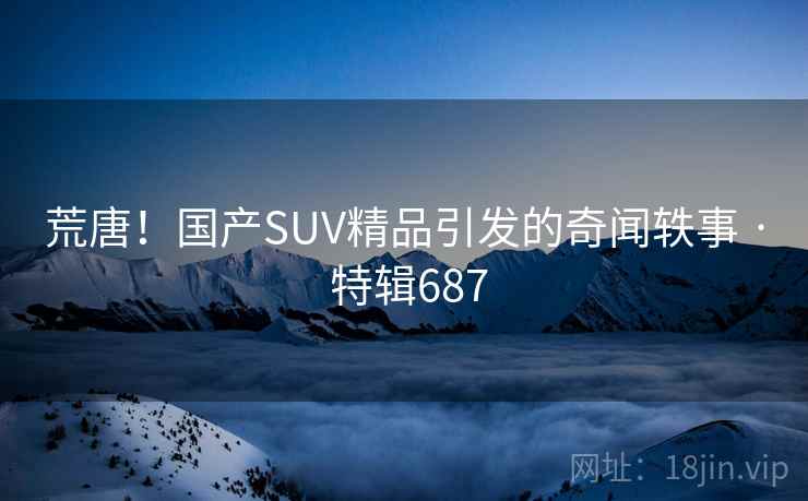 荒唐！国产SUV精品引发的奇闻轶事 · 特辑687  第1张