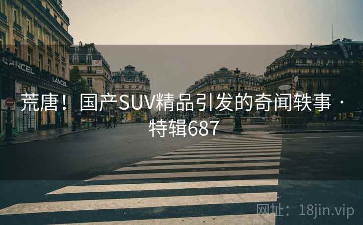 荒唐！国产SUV精品引发的奇闻轶事 · 特辑687  第2张